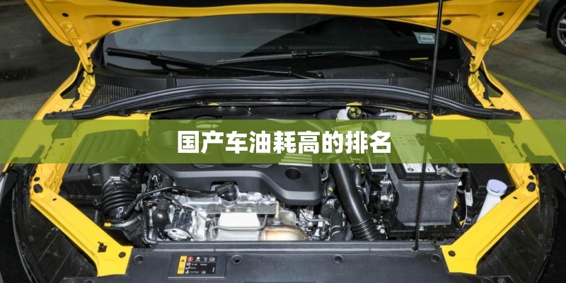 国产最好的发动机是哪款车 国产最好的发动机是哪款车