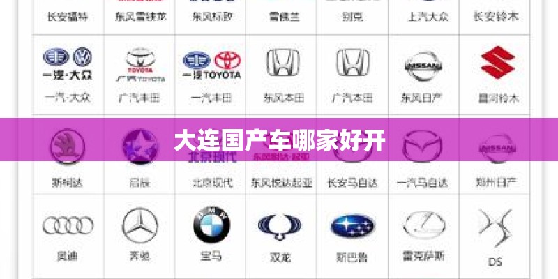 大连国产车哪家好开