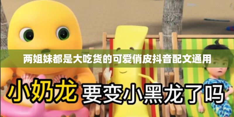 哪个网站可以旅游指南Qunar.com
