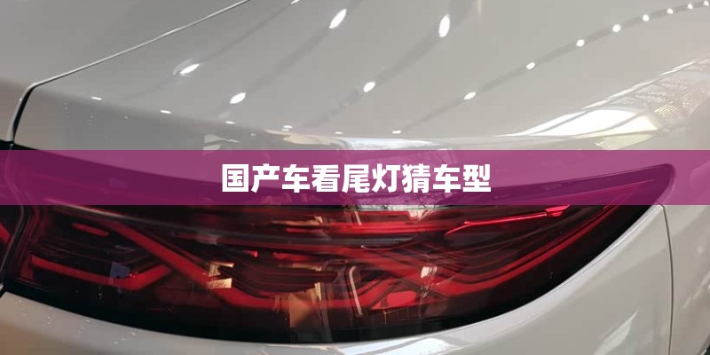 国产车看尾灯猜车型 国产车看尾灯猜车型