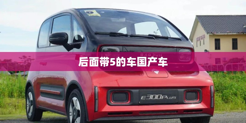 后面带5的车国产车 后面带5的车国产车