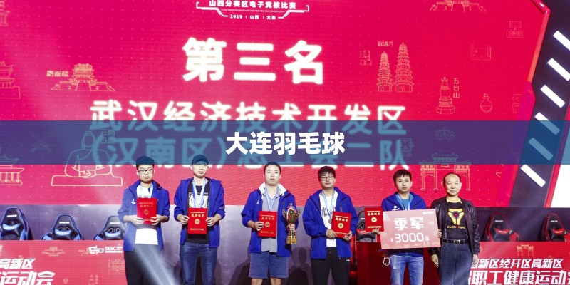 大连羽毛球 大连羽毛球