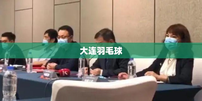 大连羽毛球 大连羽毛球