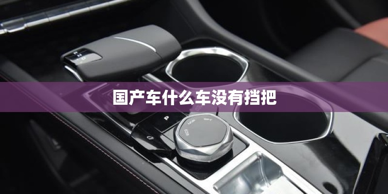 国产车什么车没有挡把 国产车什么车没有挡把