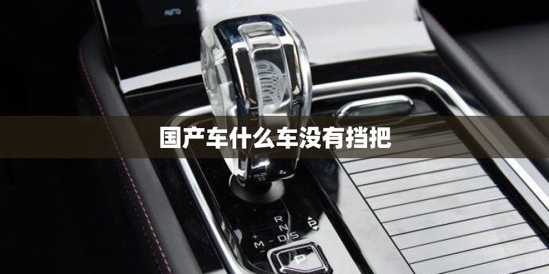 国产车什么车没有挡把 国产车什么车没有挡把