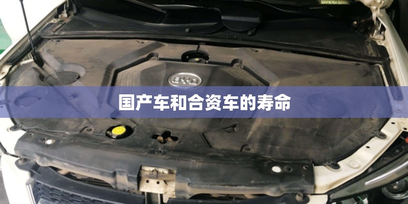 国产车和合资车的寿命 国产车和合资车的寿命