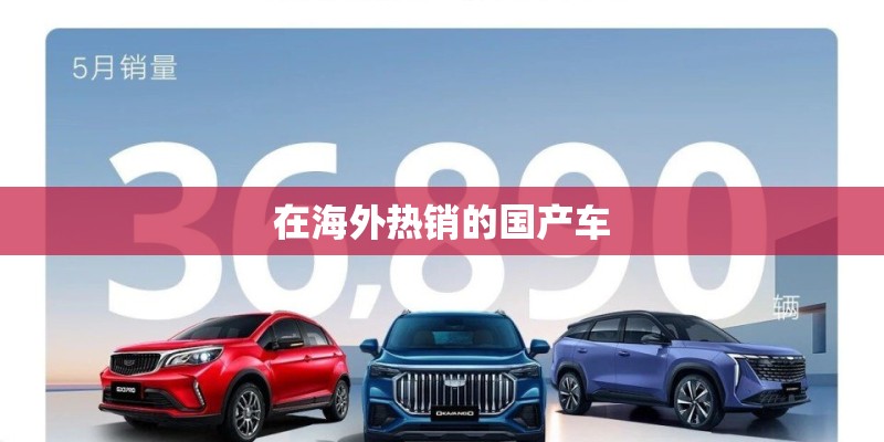 在海外热销的国产车 在海外热销的国产车