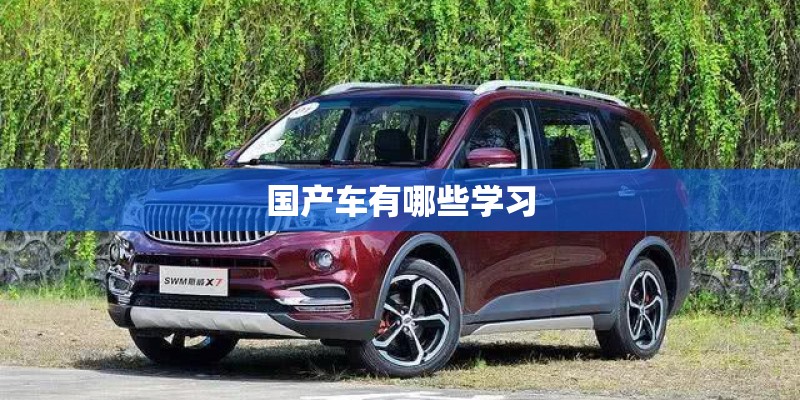 国产车有哪些学习 国产车有哪些学习