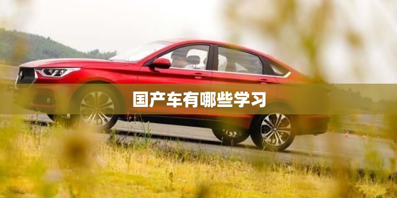 国产车有哪些学习 国产车有哪些学习