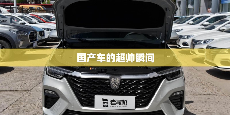 国产车的超帅瞬间 国产车的超帅瞬间