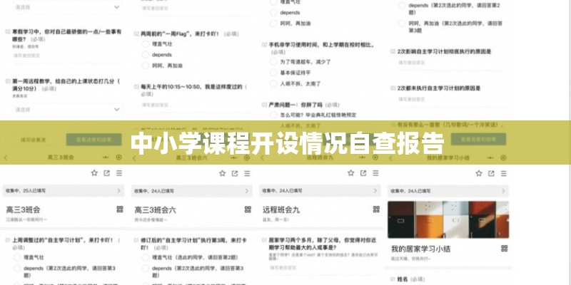 中小学课程开设情况自查报告 中小学课程开设情况自查报告