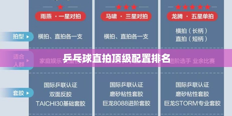 乒乓球直拍顶级配置排名 乒乓球直拍顶级配置排名