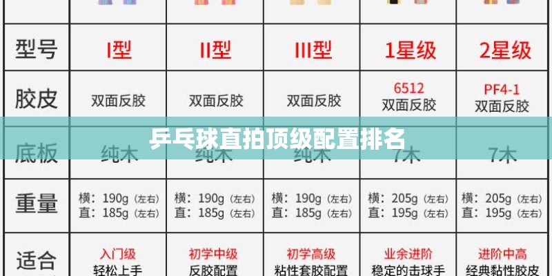 乒乓球直拍顶级配置排名 乒乓球直拍顶级配置排名