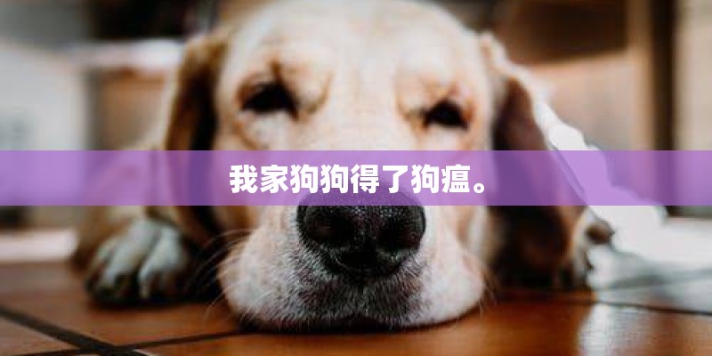 我家狗狗得了狗瘟。 我家狗狗得了狗瘟。
