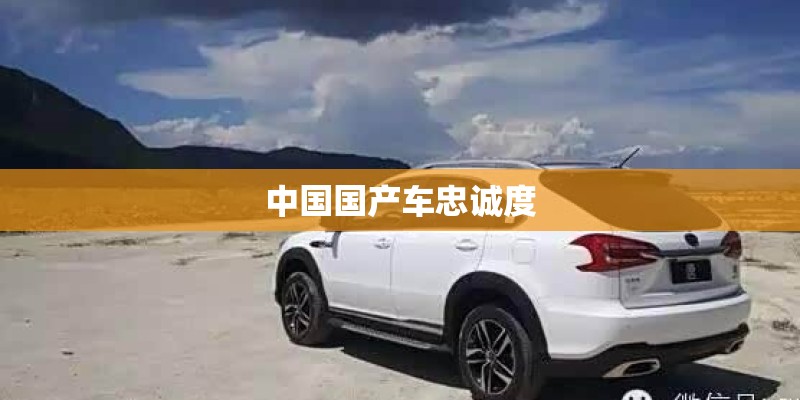 摇晃反义词