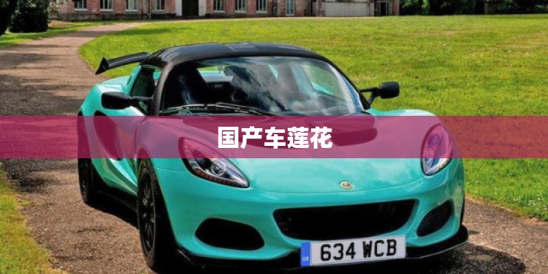 国产车莲花 国产车莲花