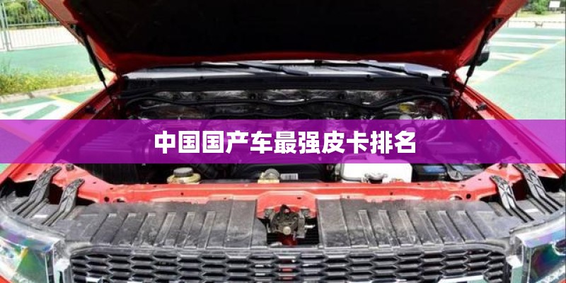 死猫能丢垃圾桶吗 死猫能丢垃圾桶吗