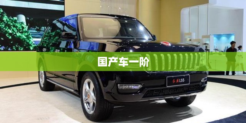 国产车一阶 国产车一阶