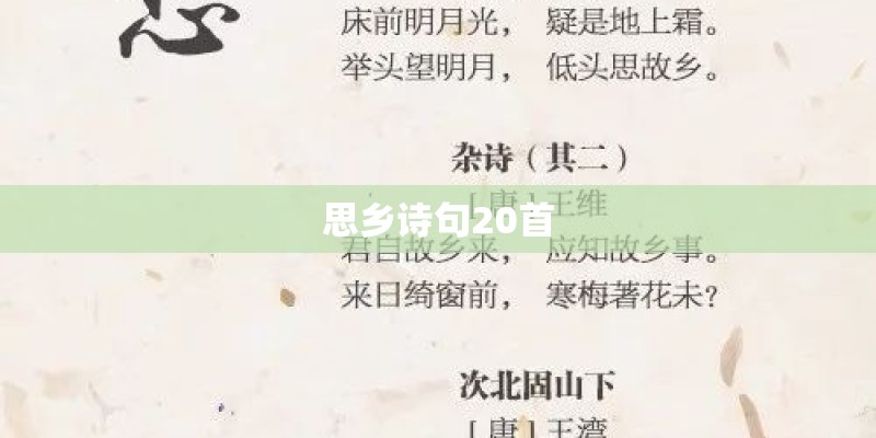 思乡诗句20首 思乡诗句20首