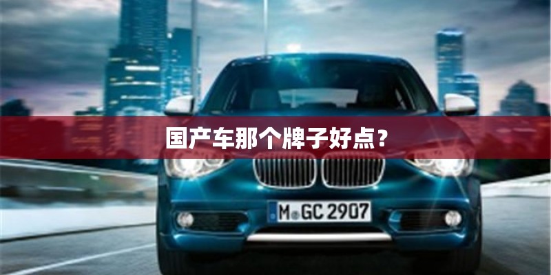 国产车那个牌子好点? 国产车那个牌子好点?