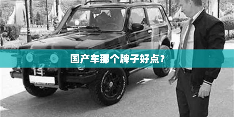 国产车那个牌子好点? 国产车那个牌子好点?