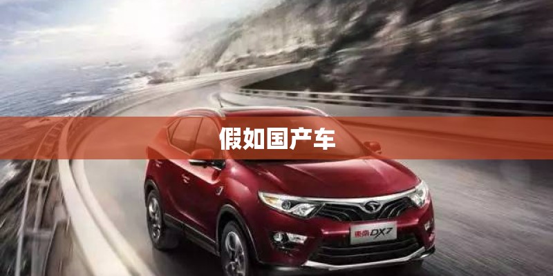 假如国产车 假如国产车