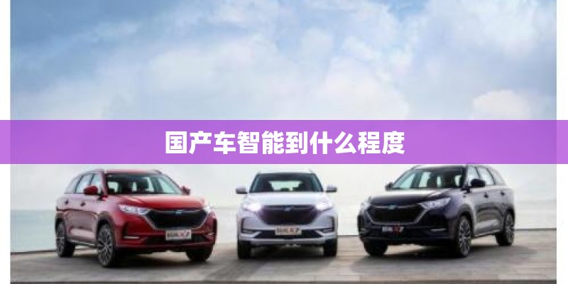 国产车智能到什么程度 国产车智能到什么程度