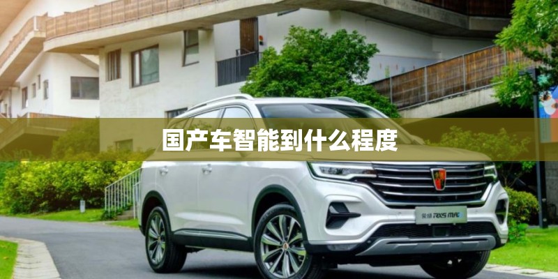 国产车智能到什么程度 国产车智能到什么程度