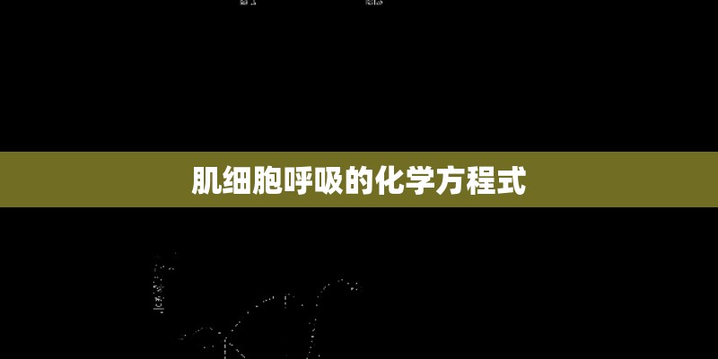 肌细胞呼吸的化学方程式 肌细胞呼吸的化学方程式