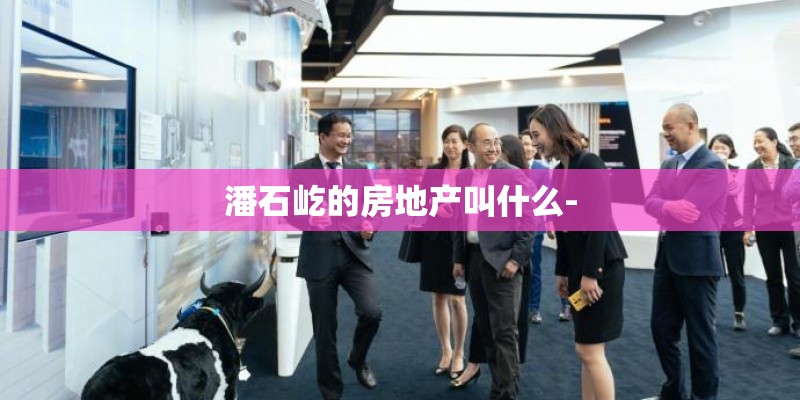 潘石屹的房地产叫什么- 潘石屹的房地产叫什么-