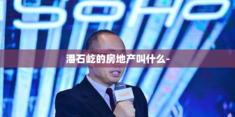 潘石屹的房地产叫什么- 潘石屹的房地产叫什么-