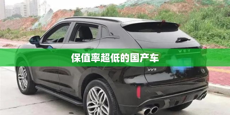 保值率超低的国产车 保值率超低的国产车