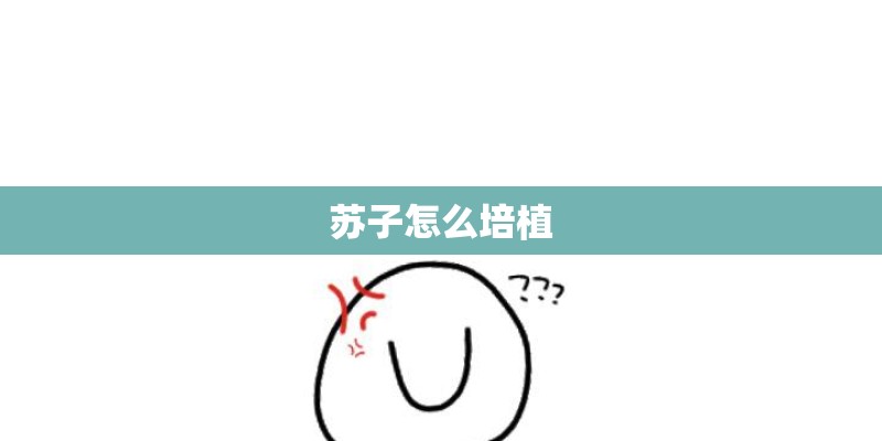 苏子怎么培植 苏子怎么培植