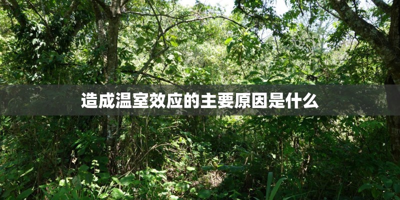 造成温室效应的主要原因是什么 造成温室效应的主要原因是什么