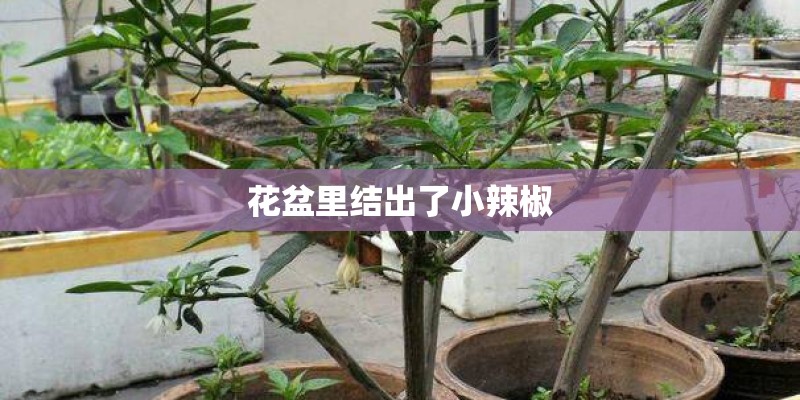 我的附近哪里有回收废铁的 我的附近哪里有回收废铁的