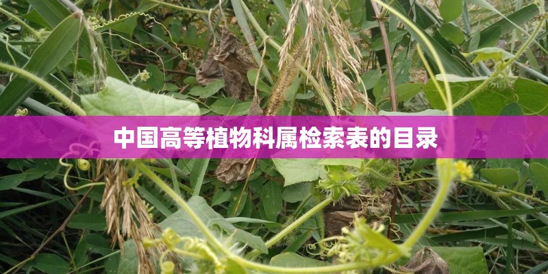 中国高等植物科属检索表的目录 中国高等植物科属检索表的目录