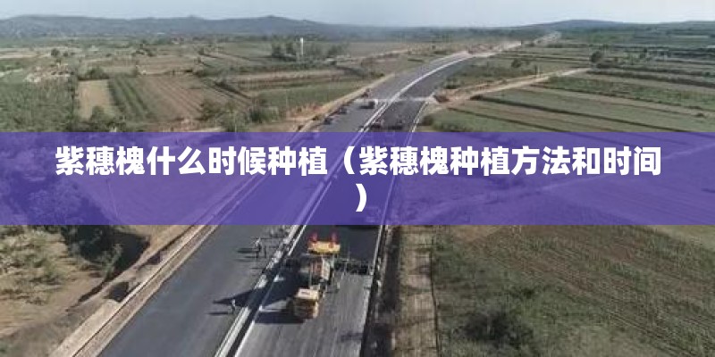 紫穗槐什么时候种植(紫穗槐种植方法和时间) 紫穗槐什么时候种植(紫穗槐种植方法和时间)