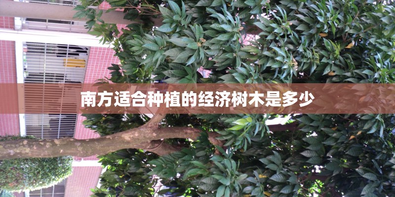 薄荷种植用什么方法？