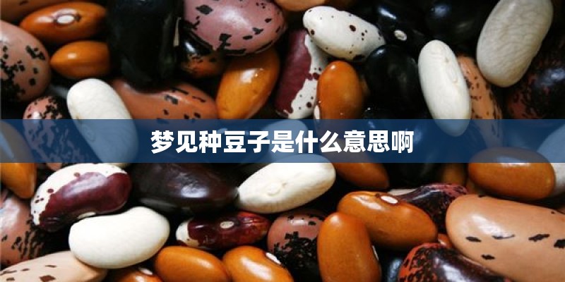 薄荷种植用什么方法？