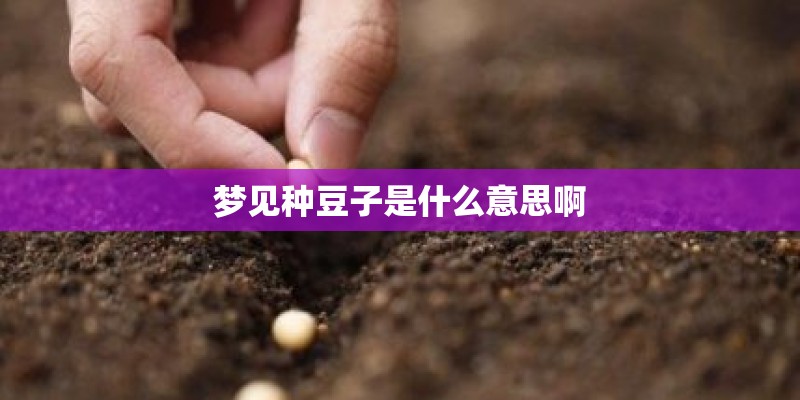 梦见种豆子是什么意思啊 梦见种豆子是什么意思啊