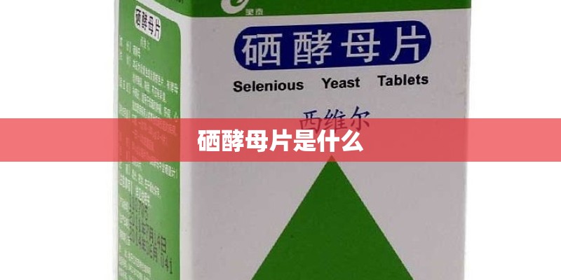 水培猫草怎么种
