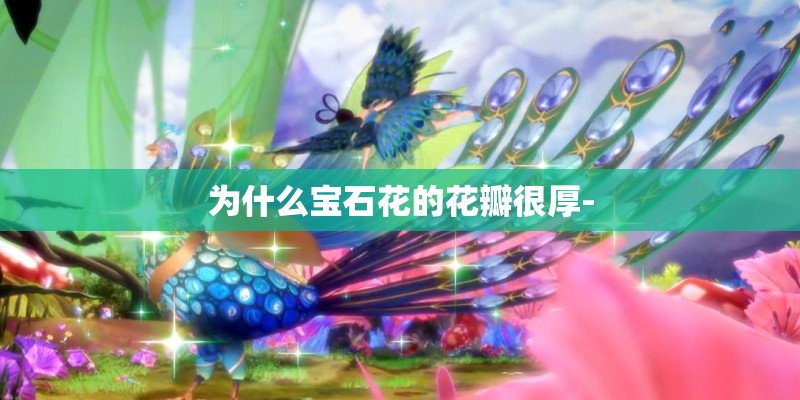 为什么宝石花的花瓣很厚- 为什么宝石花的花瓣很厚-