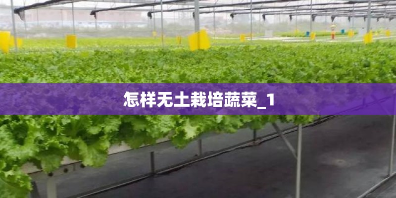 怎样无土栽培蔬菜_1 怎样无土栽培蔬菜_1