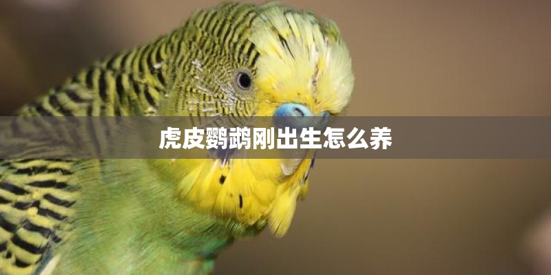 舟山珍惜动植物
