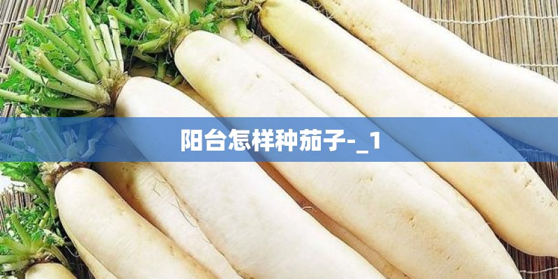 阳台怎样种茄子-_1 阳台怎样种茄子-_1