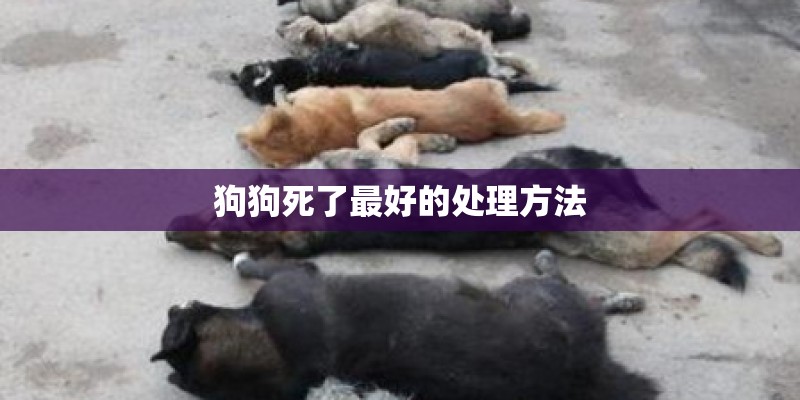 狗狗死了最好的处理方法 狗狗死了最好的处理方法