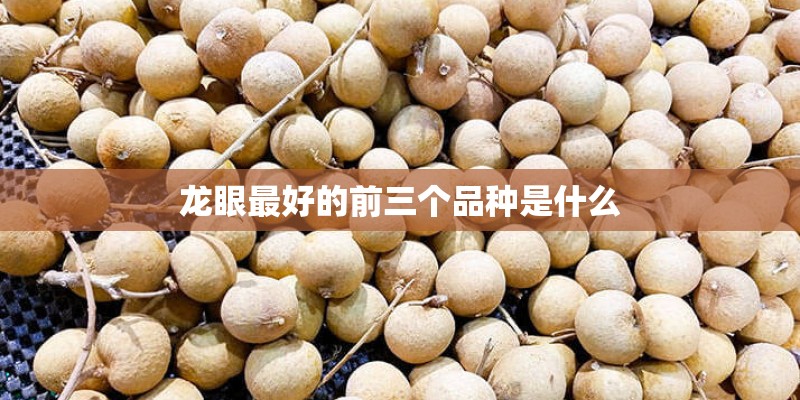 长方体棱长总和怎么计算