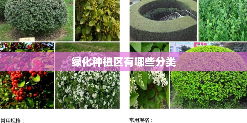绿化种植区有哪些分类 绿化种植区有哪些分类