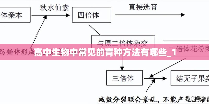高中生物中常见的育种方法有哪些_1 高中生物中常见的育种方法有哪些_1