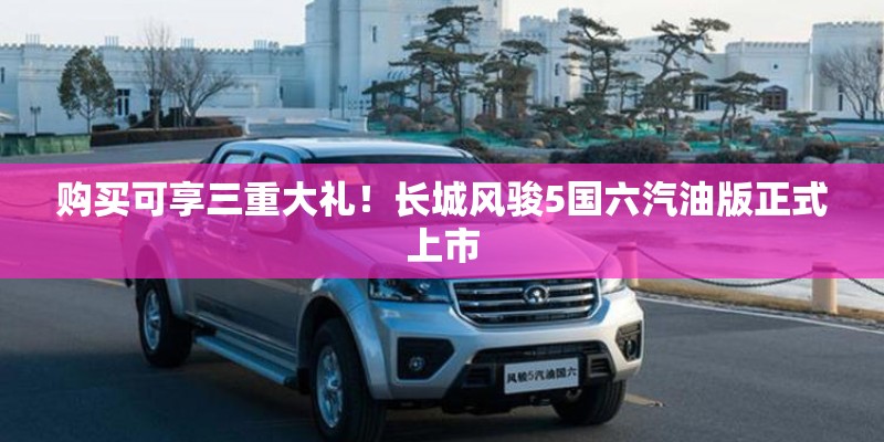 购买可享三重大礼！长城风骏5国六汽油版正式上市